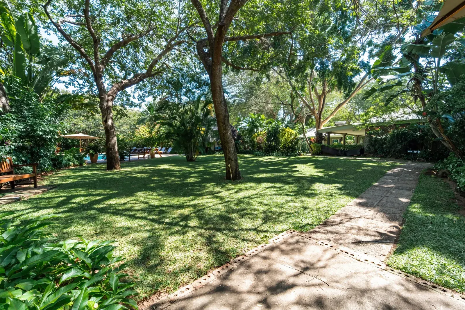 Lawn and large trees in the garden at Bayete Guest Lodge