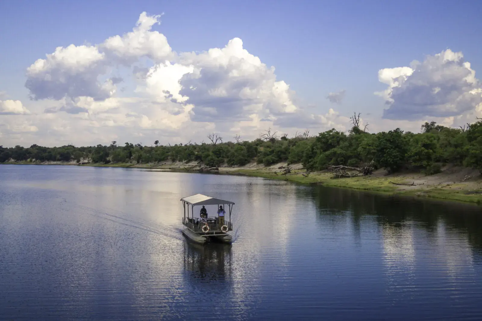 River safari on the Chobe River