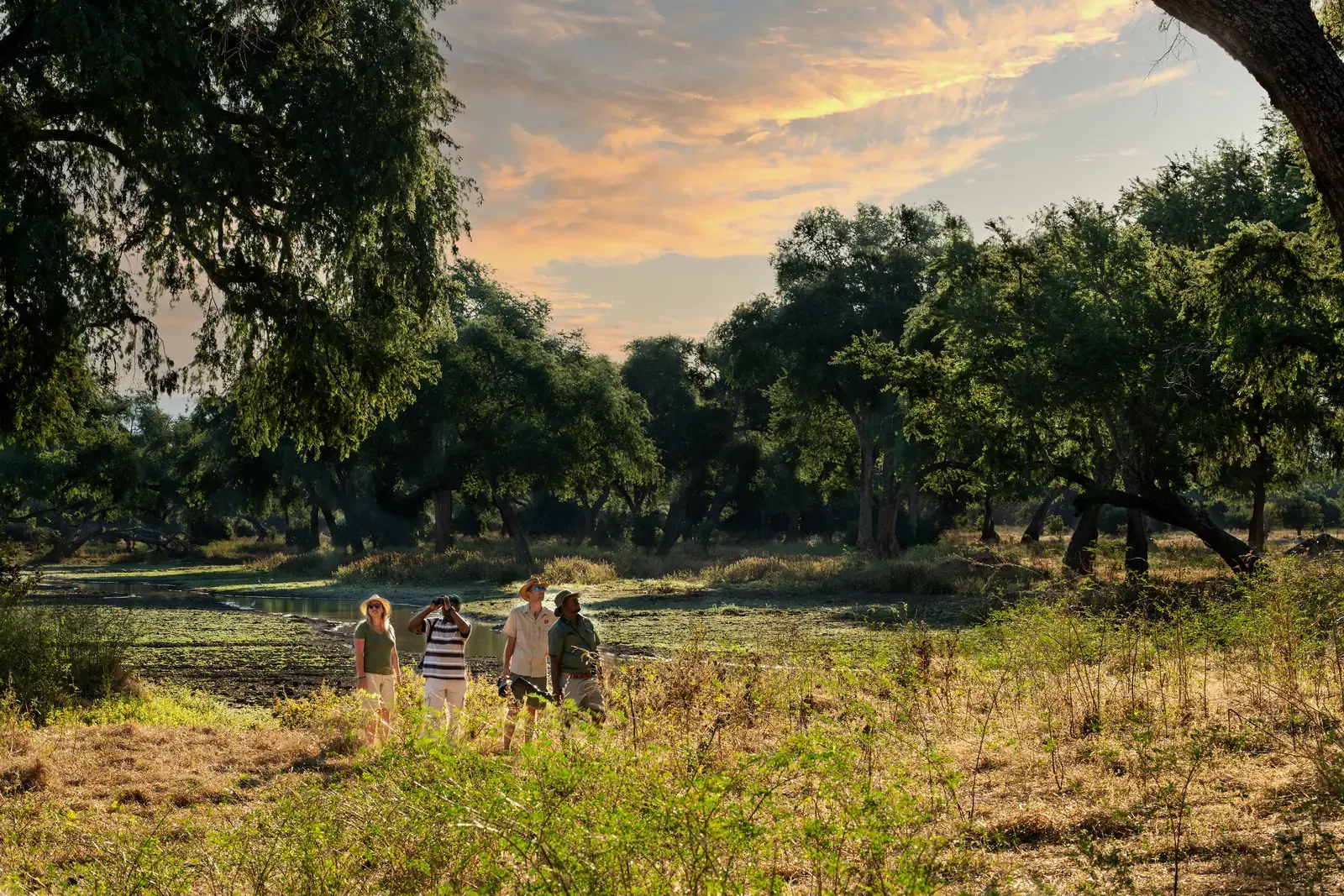 Guided walking safari in Mana Pools