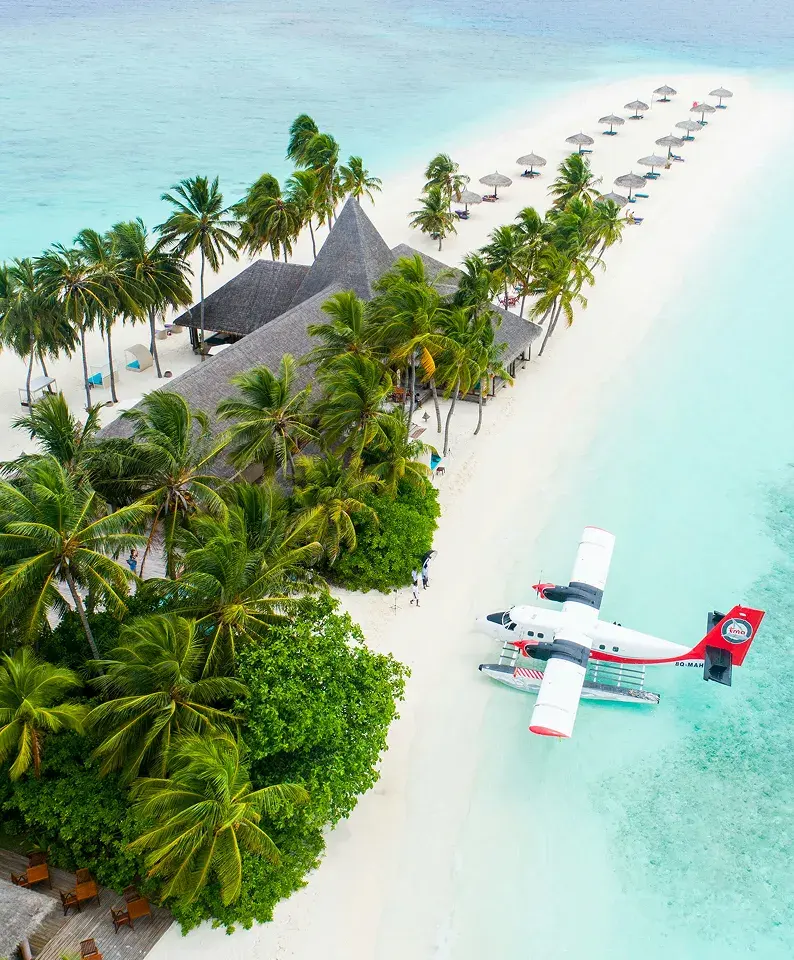 Seaplane on a tropical beach lined with palm trees