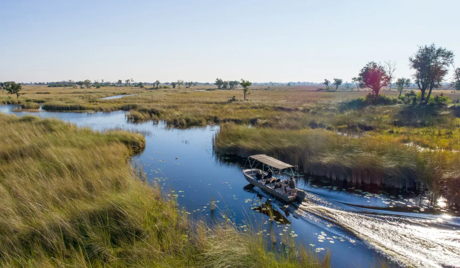 Boat safari in Moremi Game Reserve