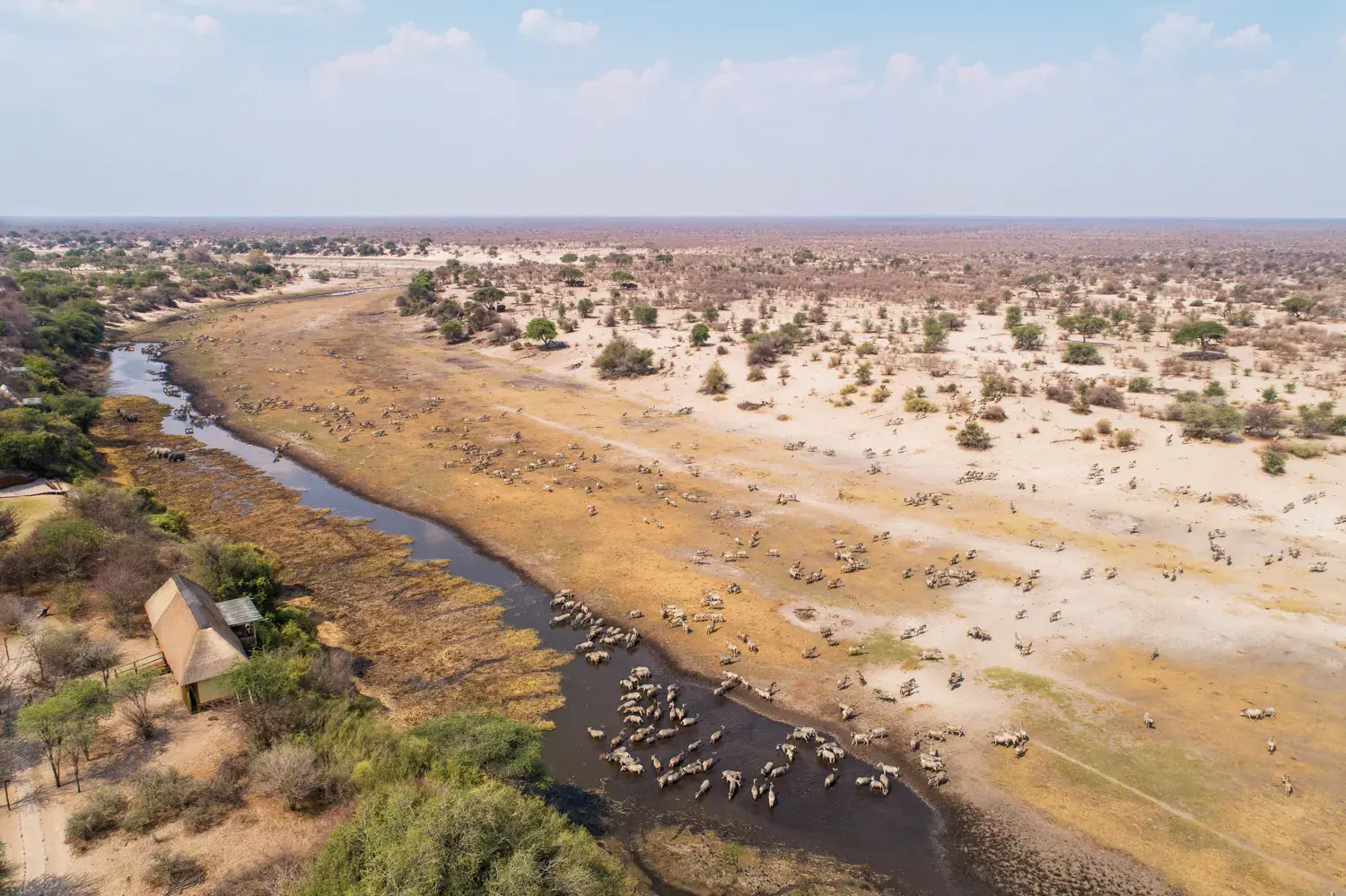 Aerial view of Leroo La Tau above the Boteti River