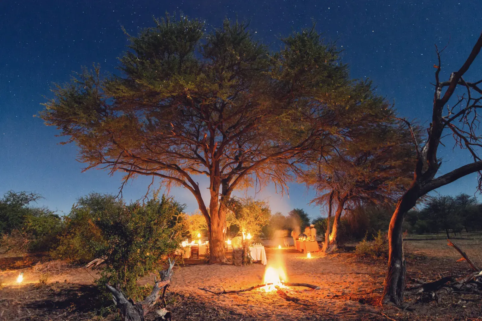 Bush dinner at Leroo La Tau